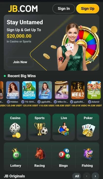 JB Casino Payment Methods A Comprehensive Guide